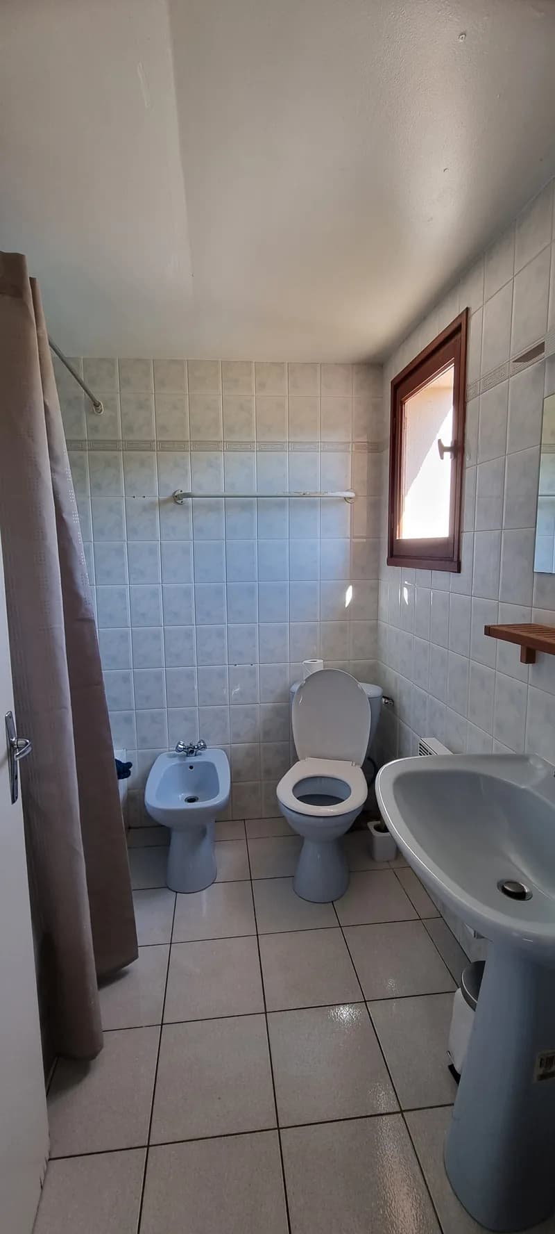 Allocigale_C6_sdb.jpg