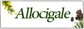 allocigale